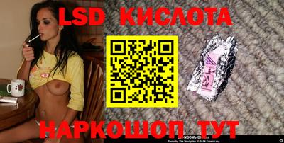 стафф Донецк