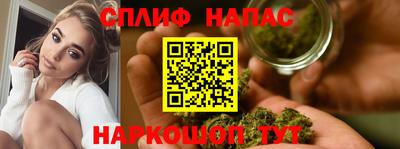 стафф Донецк