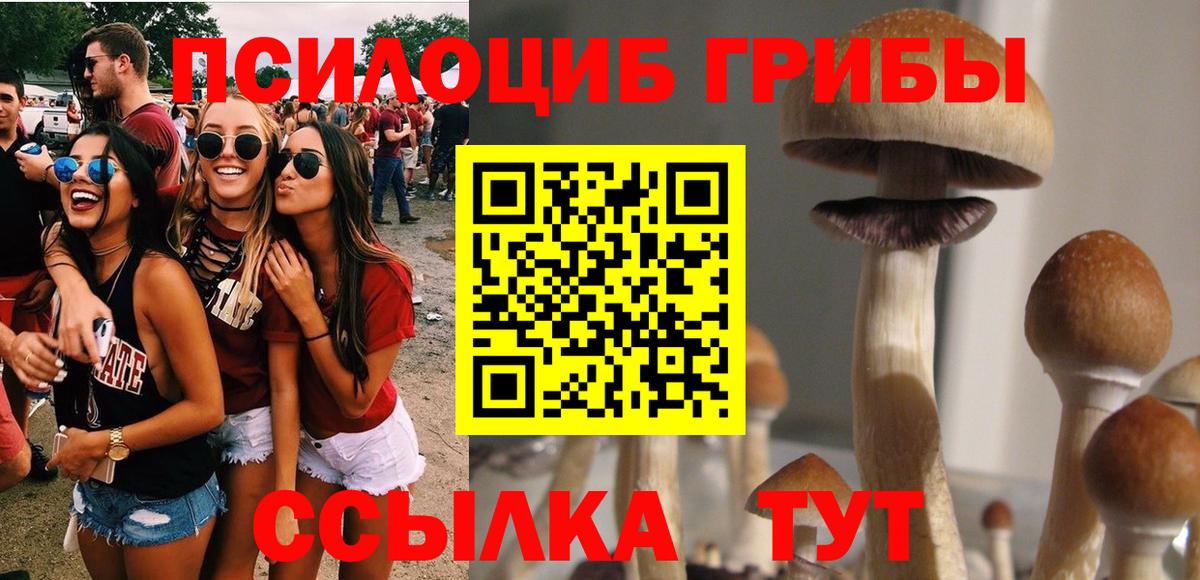 Псилоцибиновые грибы Psilocybine cubensis Лесосибирск